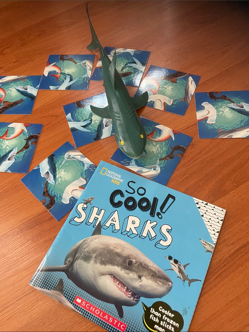 So Cool! Sharks bundle